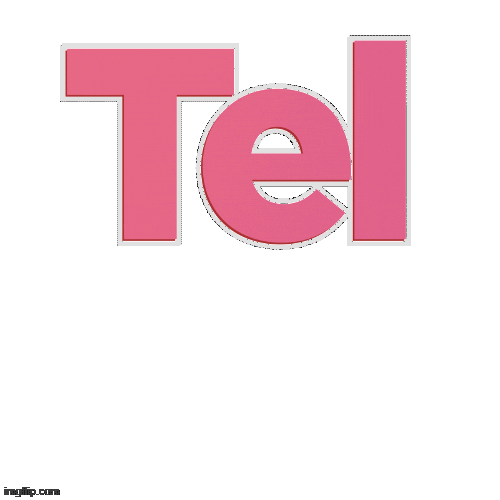 deptelmadesouza giphyupload lula haddad telma Sticker