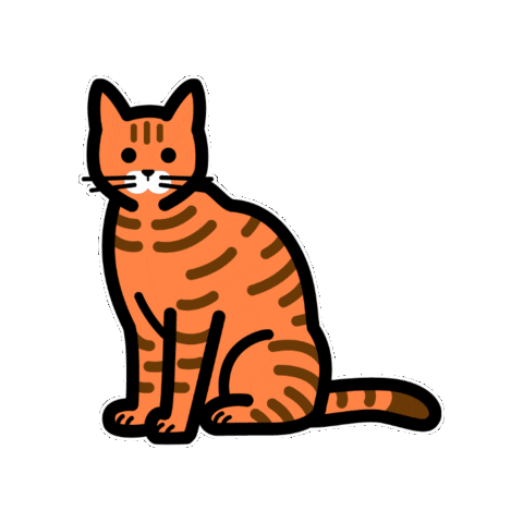 moffme giphygifmaker cat pet 猫 Sticker