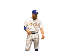 College Baseball Fun Sticker by Delaware Blue Hens