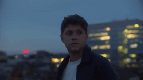 too much to ask GIF by Niall Horan