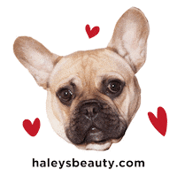 dog love Sticker by HALEYS