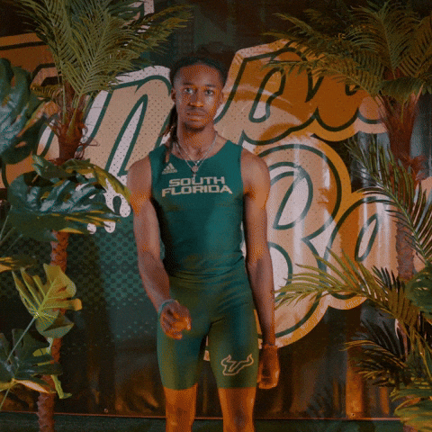 South Florida Horns Up GIF by USF Athletics