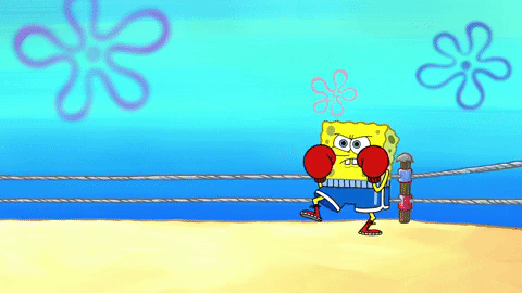 episode 1 GIF by SpongeBob SquarePants