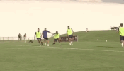kevin strootman goal GIF by AS Roma