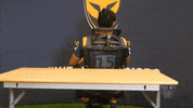 Rugby Chair GIF by Worcester Warriors
