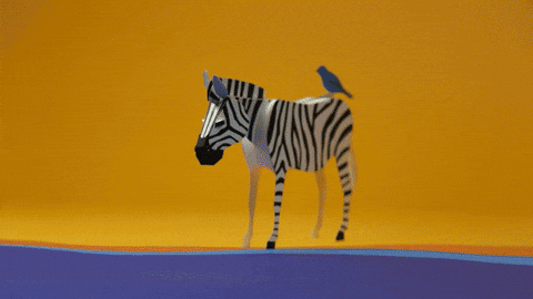 Wings Zebra GIF by Rogier Wieland Studio