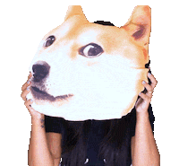 dog akita Sticker by Evelyn regly