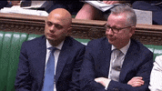 news brexit parliament boris johnson michael gove GIF