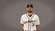 Cal State La Baseball GIF by Cal State LA Golden Eagles
