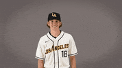 Baseball Calstatela GIF by Cal State LA Golden Eagles
