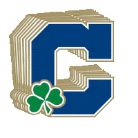 Go Irish Sticker by cathedralirish