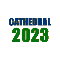 Go Irish Sticker by cathedralirish