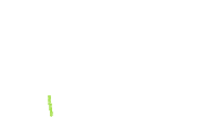 Bloom Blooming Sticker