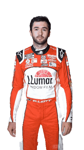 llumar racing point you nascar Sticker