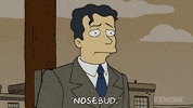 Episode 4 GIF by The Simpsons