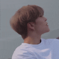 Xinlong GIF