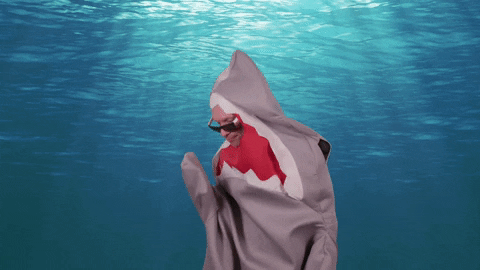 Oh Yeah Yes GIF by Shark Week
