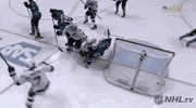 happy ice hockey GIF by NHL