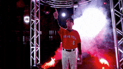 college baseball cws GIF by NCAA Championships