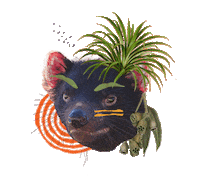 Tasmanian Devil Australia Sticker by Re:wild