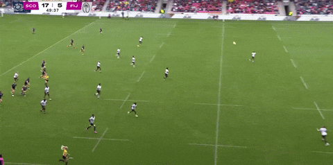 lorenzocalamai giphyupload GIF