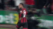 Football Soccer GIF by AFC Bournemouth