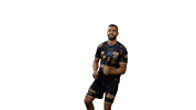 Handball Dunkerque Sticker by USDK
