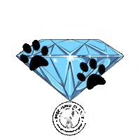 Ditrr Sticker by Diamond In The Ruff Rescue