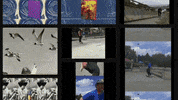 Jesft GIF