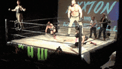 SHWAWrestling tag team perth pro wrestling southern hemisphere wrestling alliance shwa GIF
