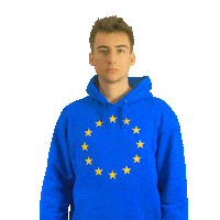 serious germany Sticker by anredo