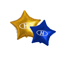 Birthday Festa Sticker by Havan Oficial