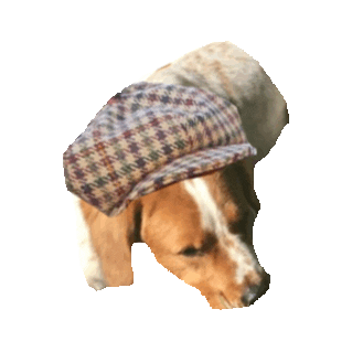 hat STICKER by imoji