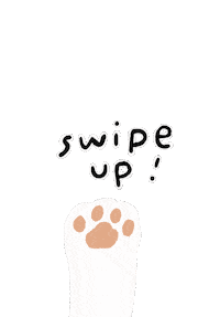 Cat Swipe Up Sticker