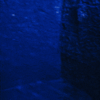 Musica Reggaeton GIF by Alejo