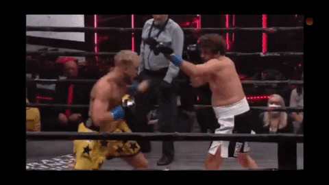 qwerpoiu22ppop giphyupload GIF