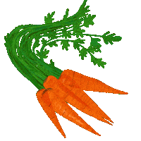 Vegetable Carrots Sticker by Erstwilder