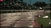 arcadia invite GIF by RunnerSpace.com