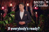 GIF by BachelorInParadiseAU