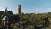 good morning GIF by University of Florida
