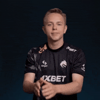S1Ren GIF by Team Spirit