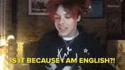 English Twitter GIF by BuzzFeed