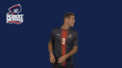 rmuathletics rmu robert morris robert morris university GIF