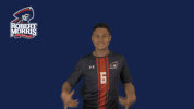 rmuathletics rmu robert morris robert morris university GIF