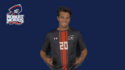 rmuathletics rmu robert morris robert morris university GIF