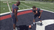 rmuathletics rmu robert morris robert morris university GIF