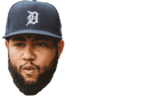 detroit tigers Sticker by MLB