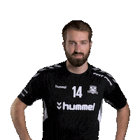 hattrick-brno sport floorball salibandy innebandy Sticker