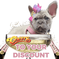 Celebrate French Bulldog Sticker by Pimp Yo Pets
