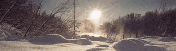 alaska GIF